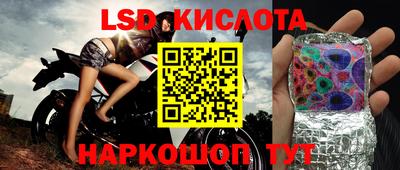шишки Краснодар