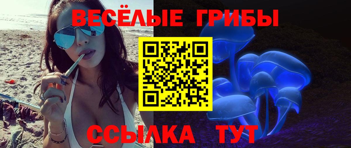 Галлюциногенные грибы мицелий  Вход с VPN  Коломна 